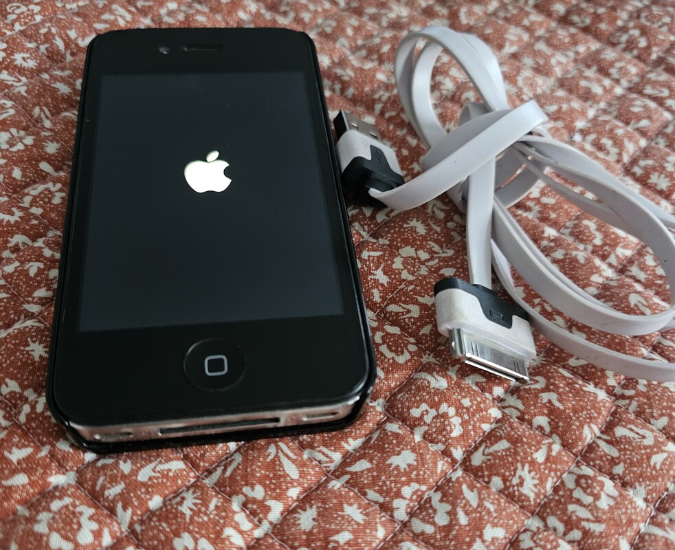 Elbląg Sprzedam Iphone 4S z kablem i etui 3D. Stan bdb. Bateria też.