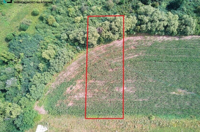 Elbląg LEVEL NIERUCHOMOŚCI Działka z MPZM w Pasłeku Tereny zabudowy mieszkaniowej jednorodzinnej2017