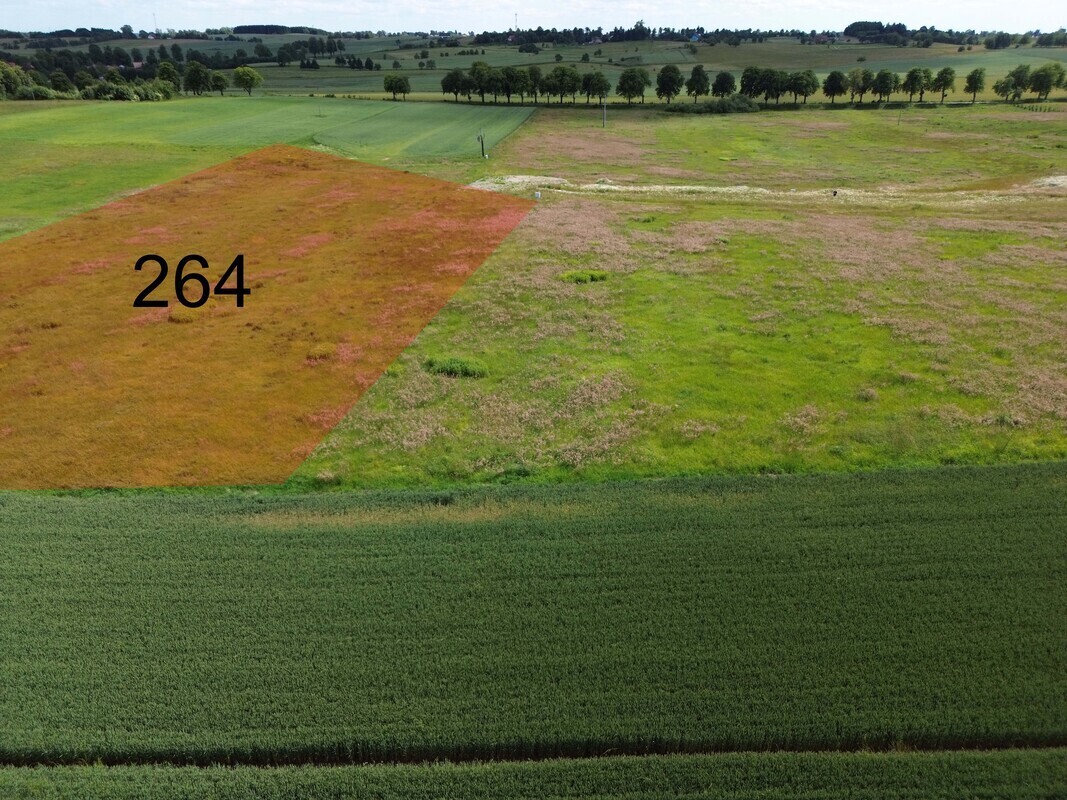 Elbląg NIERUCHOMOŚCI ANNA KRASZEWSKA Działka budowlana o pow.9645 m2 na nowopowstającym osiedlu domów