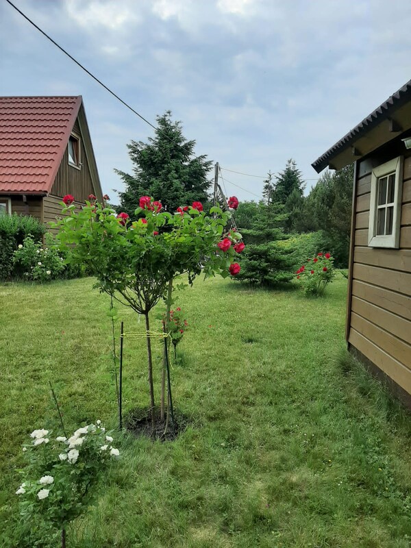 Elbląg Na sprzedaż jednorodzinny dom wolnostojący i atrakcyjna, zagospodarowana działka o powierzchni