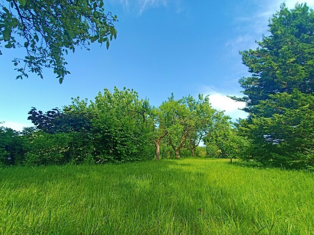 Elbląg 🌳 DZIAŁKA REKREACYJNO-WYPOCZYNKOWA ROD ELBLĄG UL. KOŚCIUSZKI 🌞DUŻA 560m2 z altanką i wodą