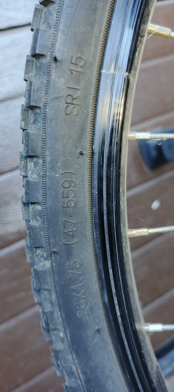 Elbląg Sprzedam rower górski dziecięcy.