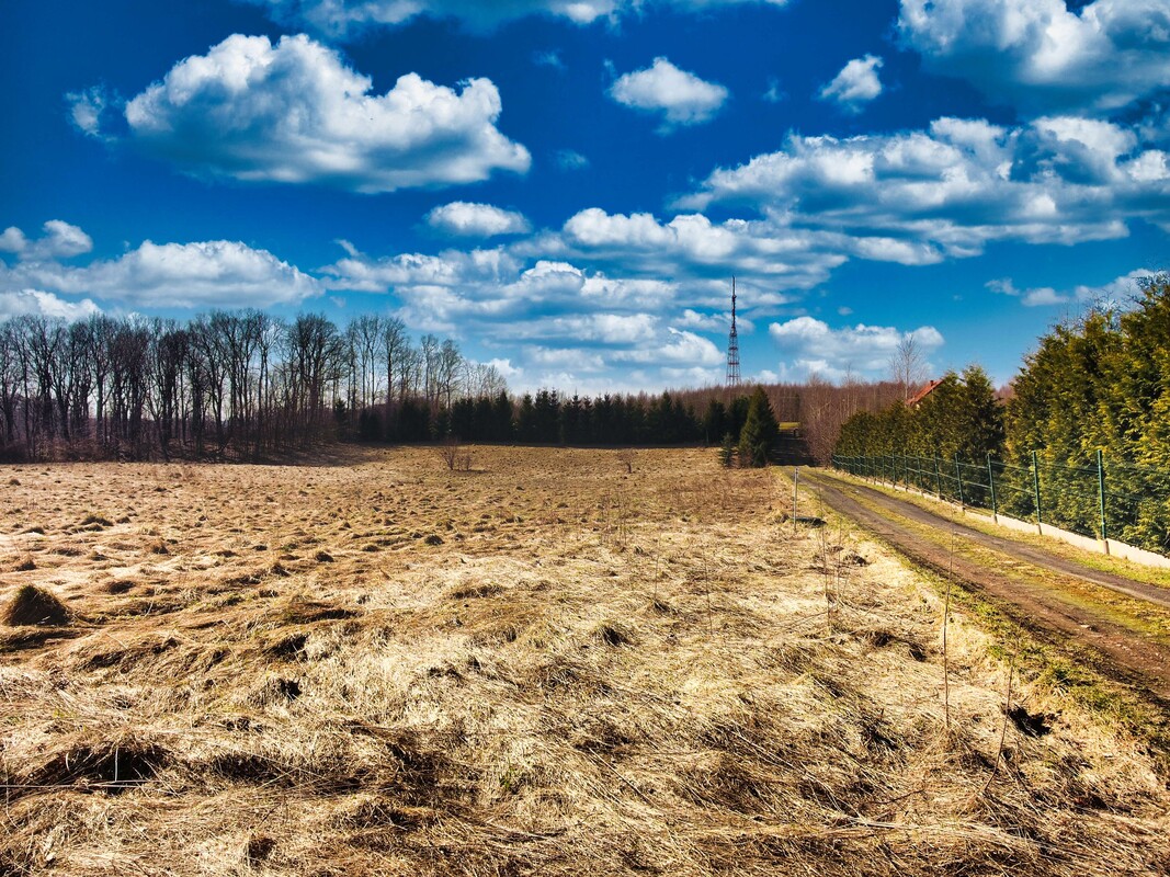 Elbląg Działki budowlane - MPZP Jagodnik, gmina Milejewo (4,5 km do granic
