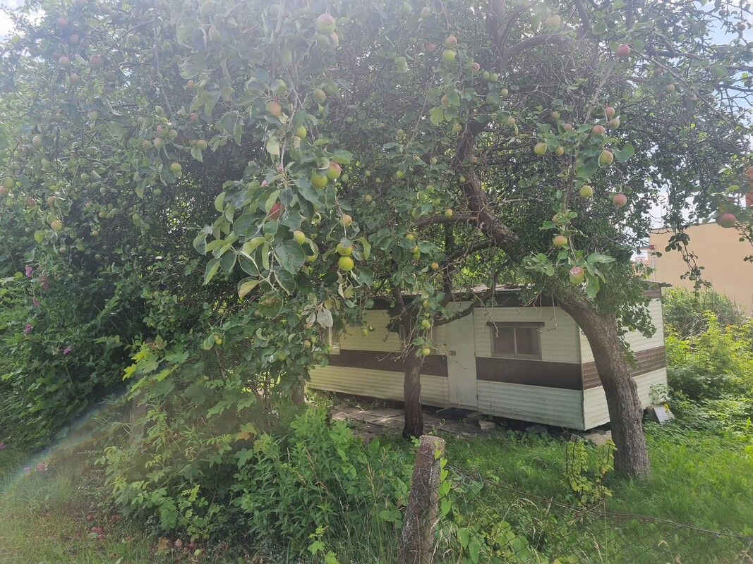 Elbląg 🌳 Sprzedam działkę ROD przy ul. Kościuszki 46 🌞Powierzchnia: 330 mkw | Prąd