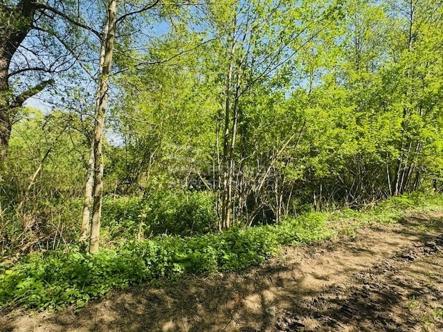 Elbląg PÓŁNOC NIERUCHOMOŚCISprzedam działkę - Bobrowiec. Na sprzedaż oferujemy działkę gruntu o powierzchni 2,15