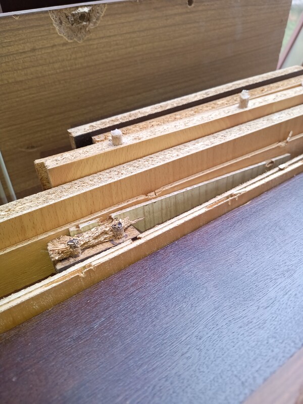 Elbląg Oddam za darmo wszystko to co na fotografii transport w waszym zakresie