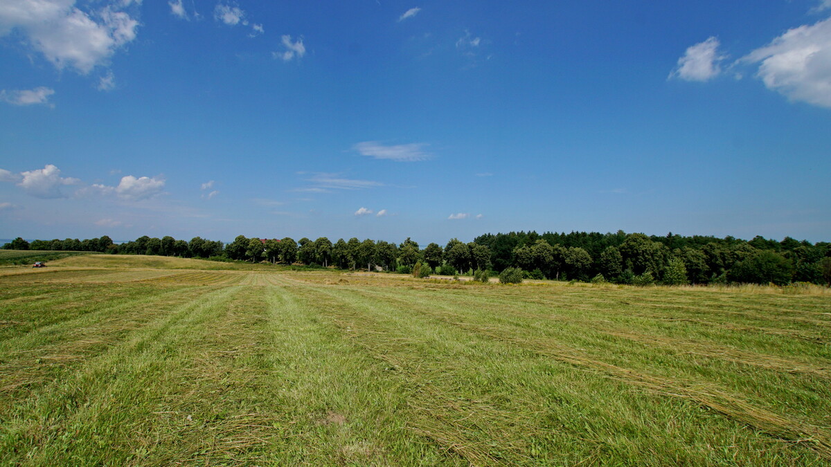 Elbląg * * * ABC NIERUCHOMOŚCI * * * WYJĄTKOWA DZIAŁKA INWESTYCYJNA Z WIDOKIEM NA ZALEW WIŚLANY powierzchnia