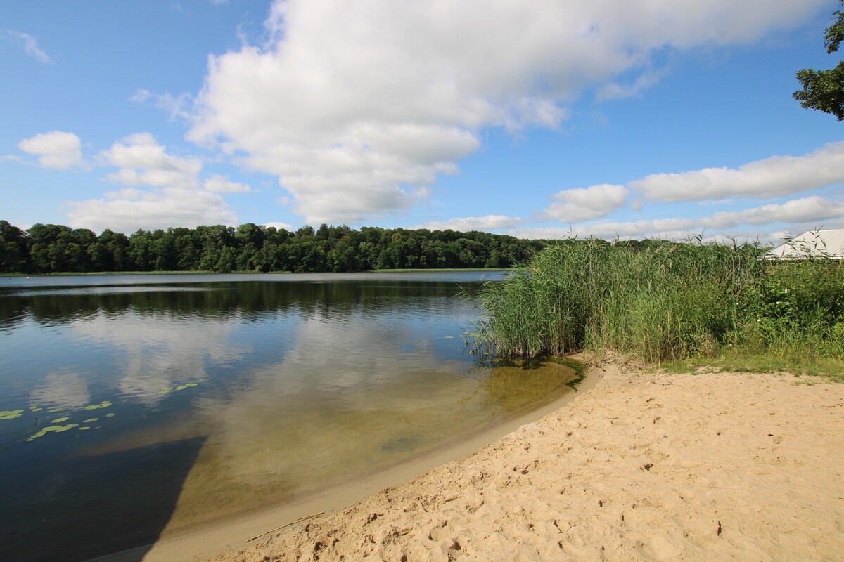 Elbląg NIERUCHOMOŚCI ANNA KRASZEWSKA NA SPRZEDAŻ domek rekreacyjny nad jeziorem, na działce