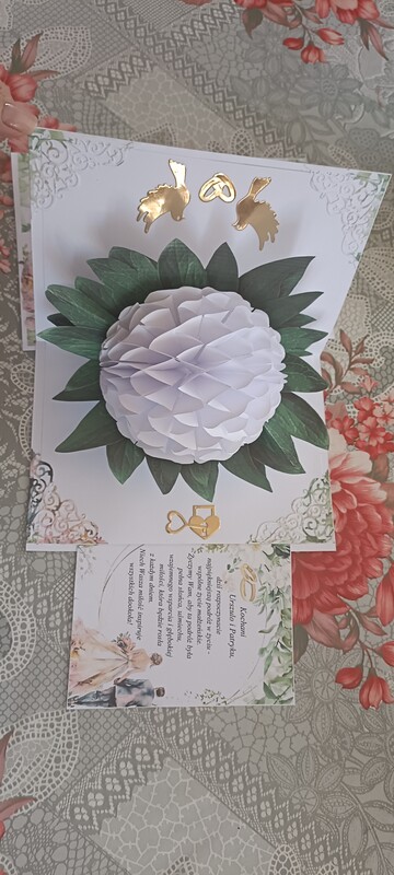 Elbląg Dzień dobry,
W ramach hobby wykonuje z papieru kartki okolicznościowe, origami modułowe 3d.
Poszukujesz