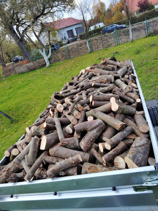 Elbląg Sprzedam drewno opałowe mieszane liściaste (buk, dąb, grab. brzoza, olcha)
220zł/m3 dowóz na terenie miasta w