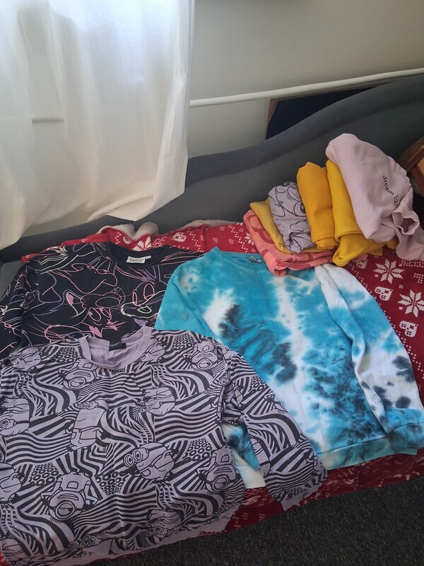 Elbląg Oddam  ubrania dla dziewczynki bluzy koszulki spodenki rozm. 158-170  na zdjęciu tylko cześć  ubrań