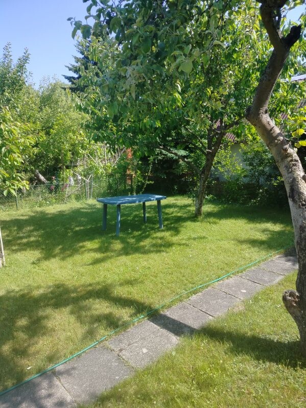 Elbląg Sprzedam działkę ROD Okólnik w Elblągu o powierzchni 290 m kw. która mieści się z dala od zgiełku pod samym