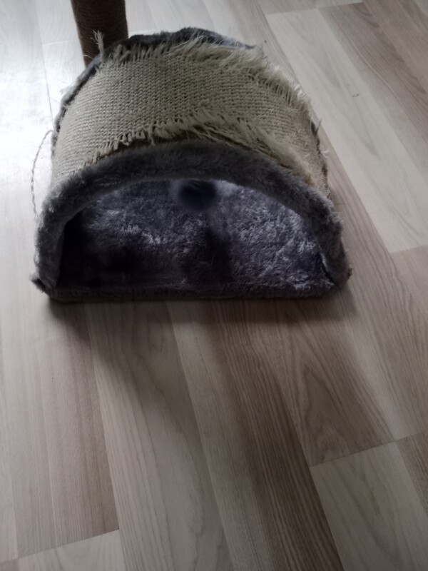 Elbląg Sprzedam drapak dla kota.
Wysokość 38 cm, średnica okręgu 30 cm, podstawa 33 cm x 33 cm. Stan widoczny na