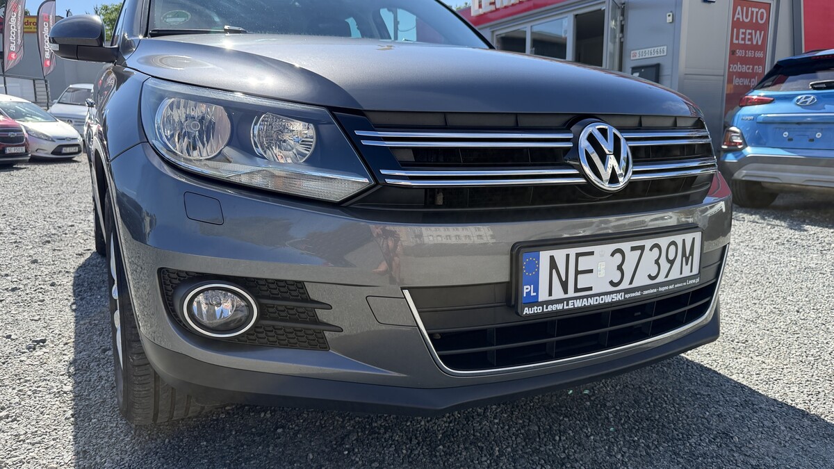 Elbląg Auto Leew LEWANDOWSKI
