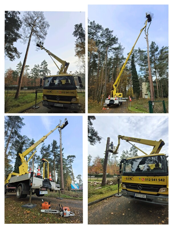 Elbląg • usługi podnośnikowe - wynajem podnośnika koszowego 27m
• wycinka, pielęgnacja drzew i krzewów