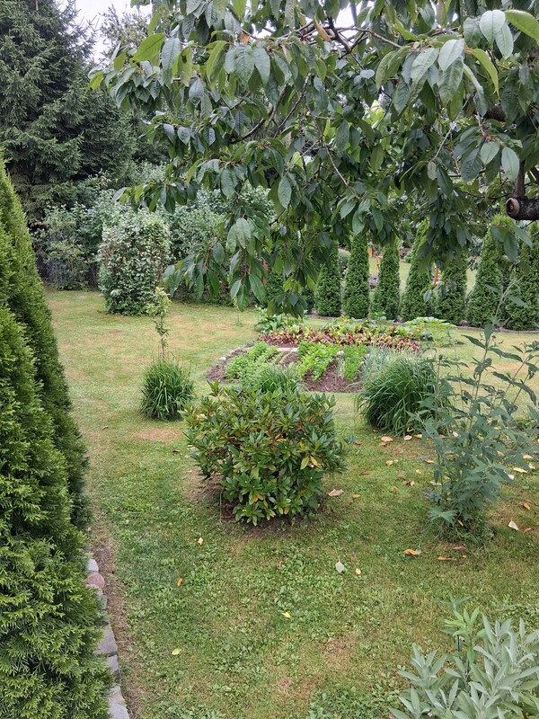 Elbląg Sprzedam działkę ROD SKOWRONEK ul. Okrężna. Na działce jest woda i prąd. Altana zadbana nowy dach więcej