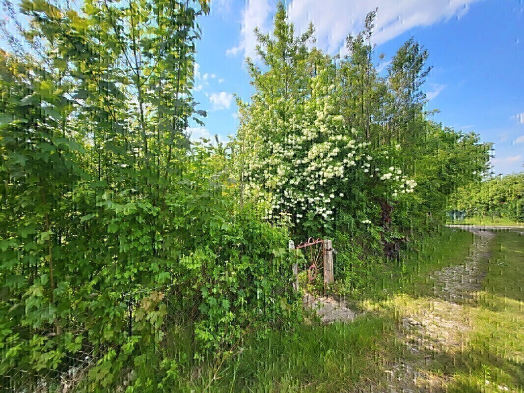 Elbląg Sprzedam ogródek działkowy ROD* ul. Kościuszki* 330 mkw* Prąd* Woda* Domek holenderski* Dużo drzew owocowych i