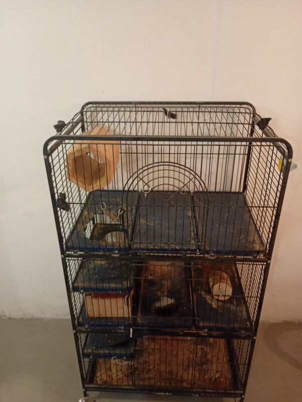 Elbląg Sprzedam klatkę dla zwierząt 52x80x140