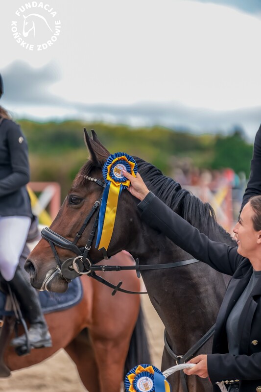 Elbląg 🐴 Fundacja Końskie Zdrowie w Elblągu zatrudni PRACOWNIKA GOSPODARCZEGO – STAJENNEGO!