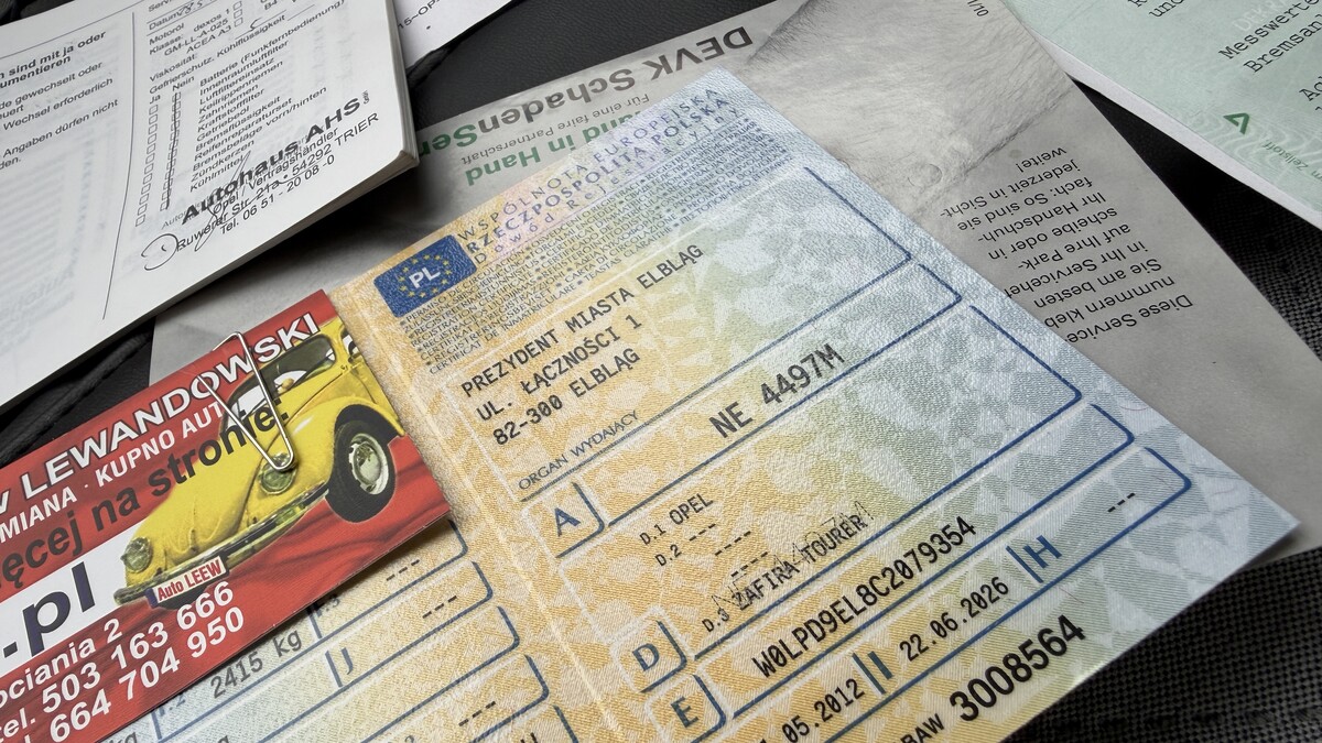 Elbląg Auto Leew LEWANDOWSKI