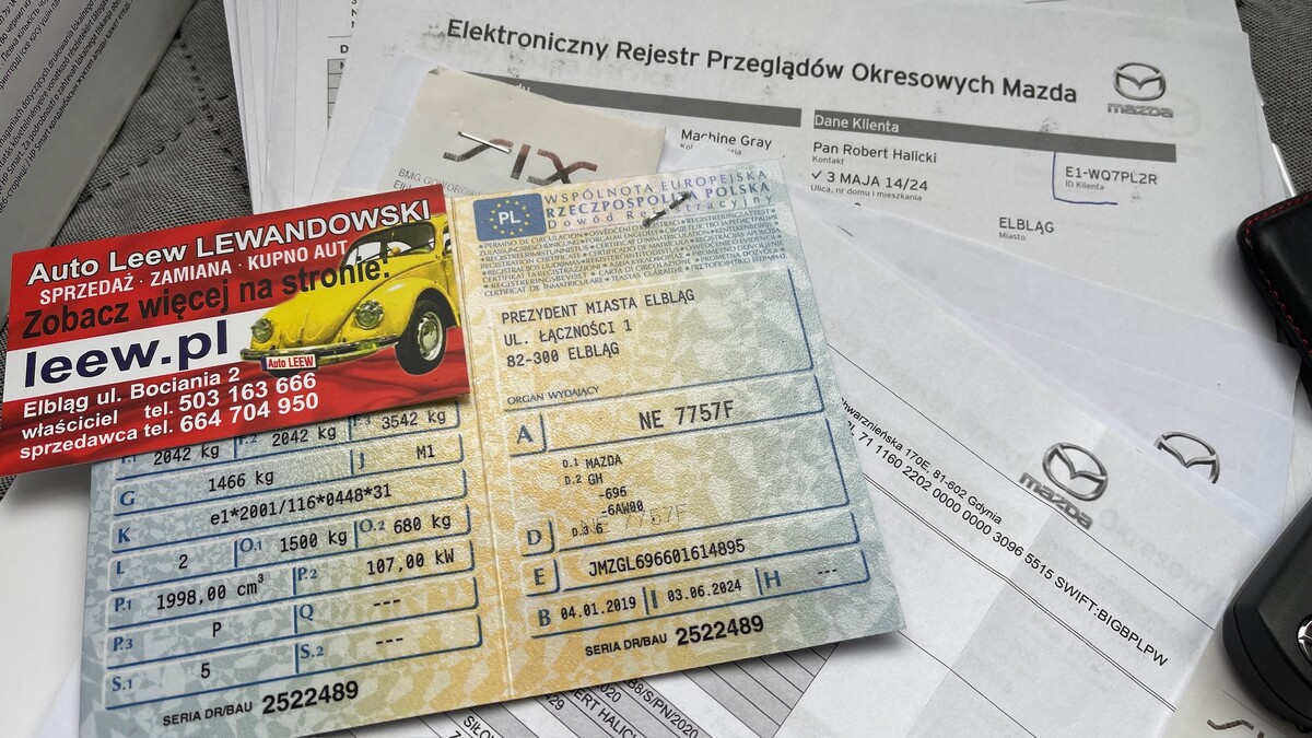 Elbląg Auto Leew LEWANDOWSKI