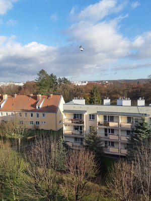 Elbląg 🌳 Sprzedam mieszkanie&nbsp; 2 pokoje Park Kajki 🌇PIĘKNY WIDOK&nbsp; 44m2&nbsp; po generalnym