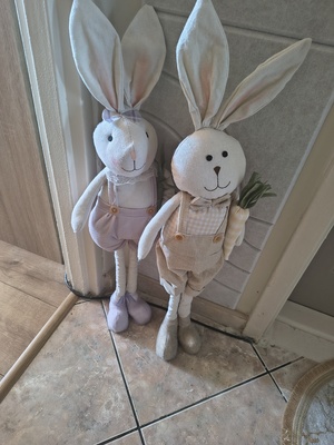 Elbląg Zające 20 zł szt