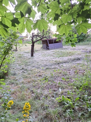 Elbląg Działka ROD z prywatnym wejściem – Elbląg, ul. Wyżynna / Reymonta | 309 m² | 5 500 zł