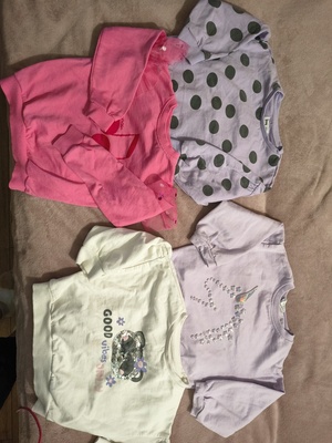 Elbląg Witam. Ubrania dla dziewczynki w rozmiarze 104/110 (17sztuk) bluzki, bluzy, sweterek, spodnie eleganckie.