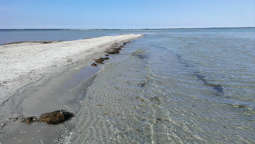 Elbląg CZARTER JACHTU TRUSKAWKI-WITAJ PRZYGODO!