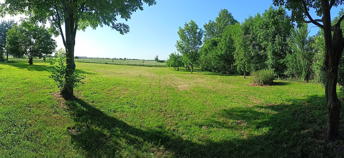 Elbląg 🏡 SPRZEDAM DOM Z DUŻĄ DZIAŁKĄ 🌳