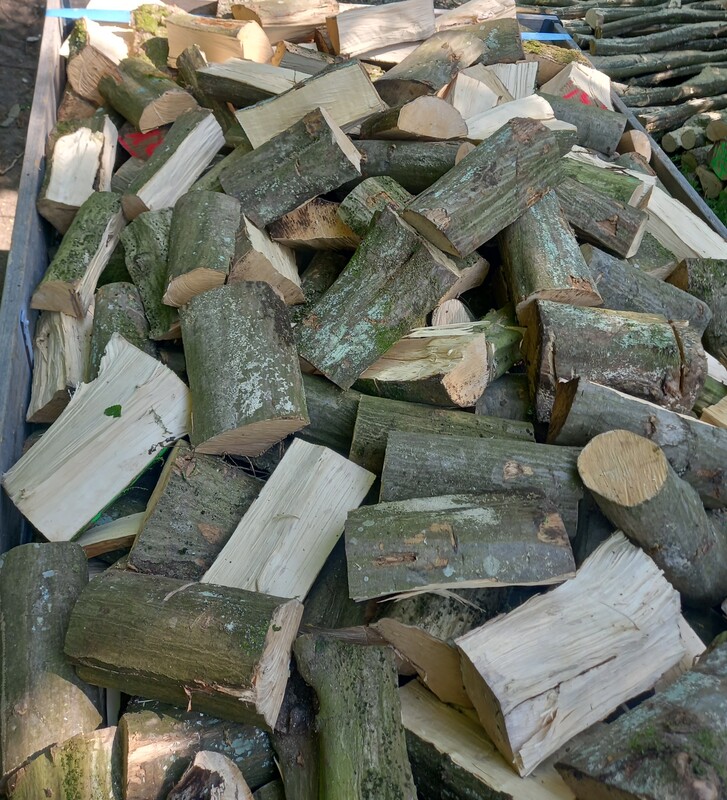 Elbląg Drewno Kominkowe I Opałowe Buk, Grab Transport Gratis