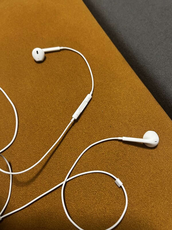 Elbląg Sprzedam słuchawki Apple EarPods Lighting, leżały cały czas w szafce i bardzo mało używane
płatność: przelew na