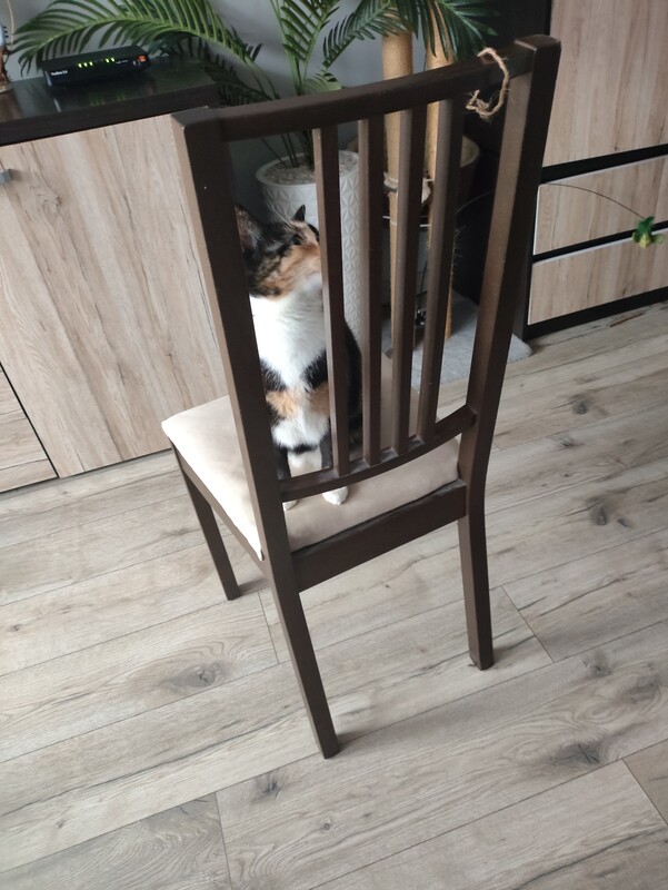 Elbląg Sprzedam stół i 6 krzeseł
Wymiary stołu 140 rozkłada się do 210 szerokość 80
Stół używany w dobrym stanie +