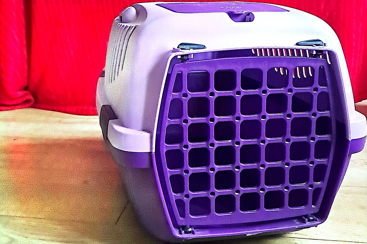 Elbląg Oddam za 120 zł komplet dla zwierzątka, klatka, transporter, kuweta. Wymiary klatka dł 75 cm, szer 45 cm, wys