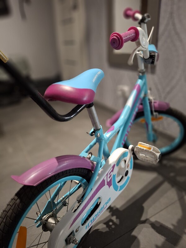 Elbląg Sprzedam rowerek