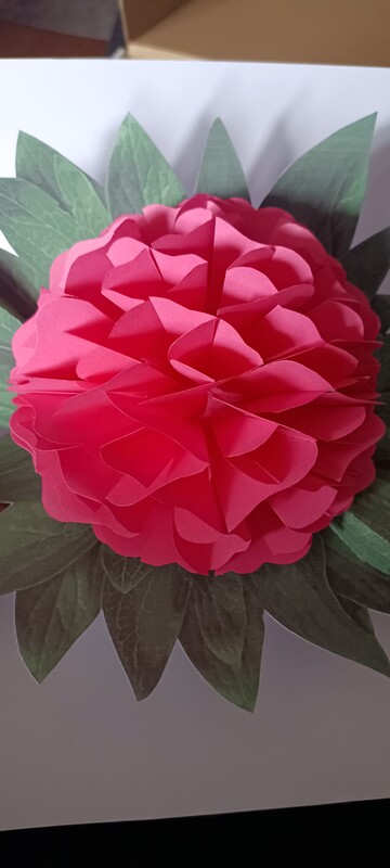 Elbląg Dzień dobry,
W ramach hobby wykonuje z papieru kartki okolicznościowe, origami modułowe 3d.
Poszukujesz
