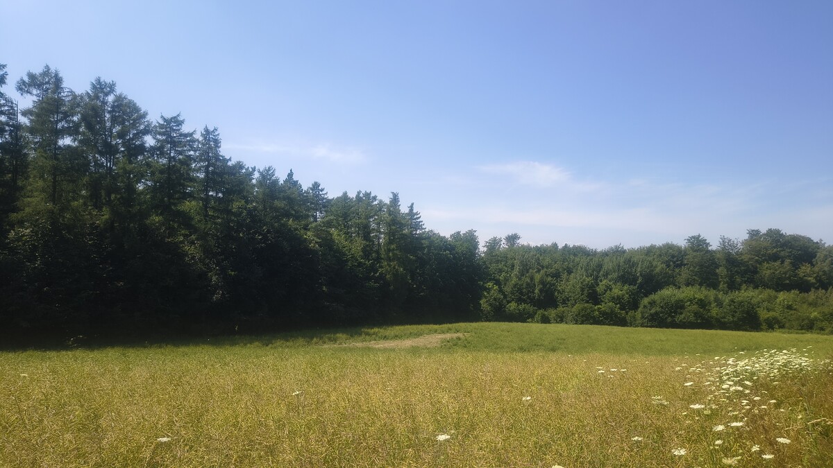 Elbląg Działki rolno-budowlane 10ha, widok na Zalew Wiślany, 30zł/m2!