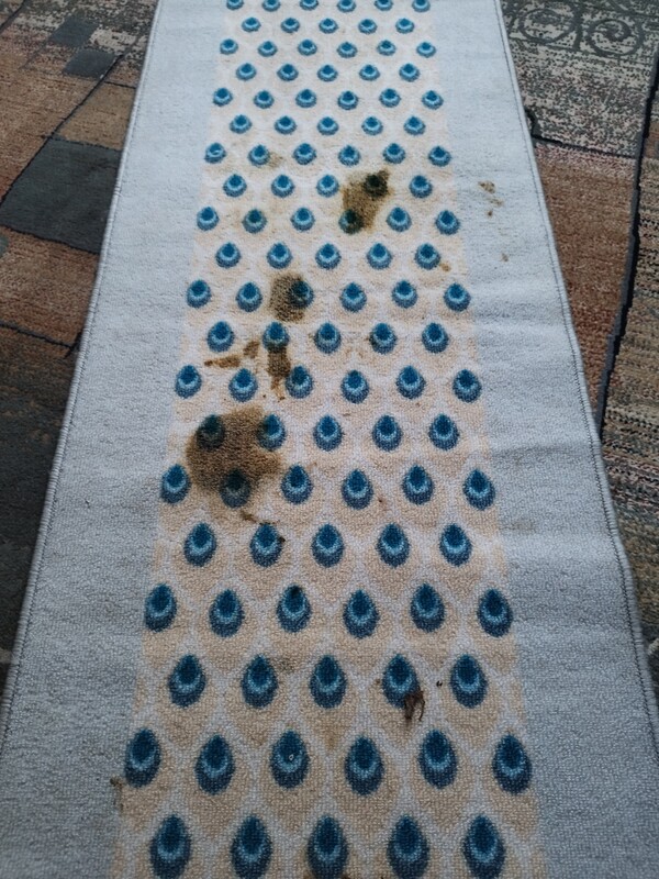 Elbląg 🌟 Profesjonalne czyszczenie dywanów, wykładzin, obić tapicerskich - RITTA Świeżość i blask