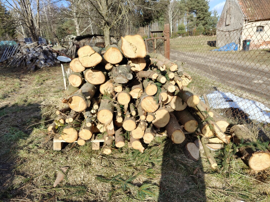 Elbląg witam,
sprzedam ok 2 i pół m3 świerka ściętego zimą, pocięte na ok 1,2 m, grubsze na 0,6 m długości
cena za