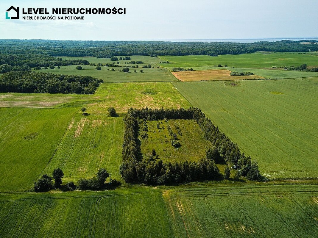 Elbląg LEVEL NIERUCHOMOŚCI Działka siedliskowa w Pogrodziu1,63 ha NIERUCHOMOŚCI NA POZIOMIE