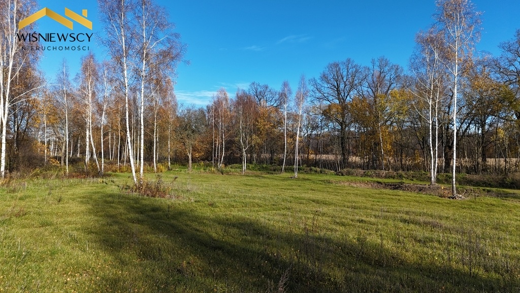 Elbląg WIŚNIEWSCY NIERUCHOMOŚCI Sp. z o.o.Sprzedam działkę - Dawidy. Oferta sprzedaży działki rolnej z wydaną