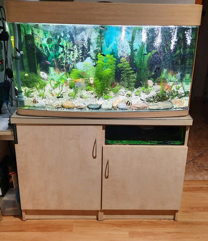 Elbląg Sprzedam akwarium 200 litrów z szafką oraz wyposażeniem akwarium. 