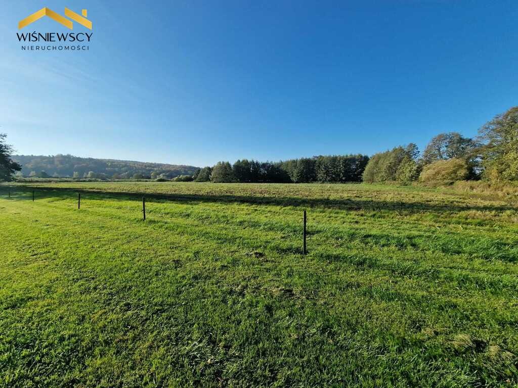 Elbląg WIŚNIEWSCY NIERUCHOMOŚCI Sp. z o.o.Sprzedam działkę - Kadyny. OFERTA SPRZEDAŻY
Na sprzedaż unikatowa