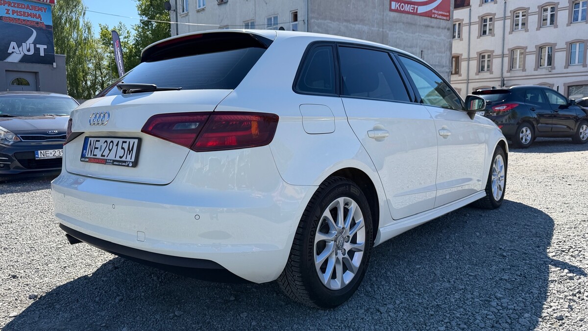 Elbląg Auto Leew LEWANDOWSKI