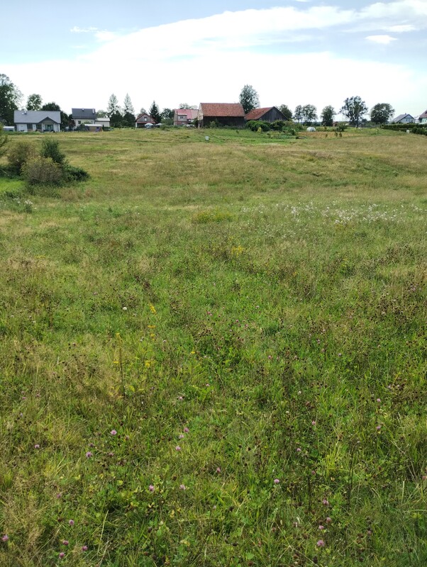 Elbląg Działka budowlana w Zajączkowie