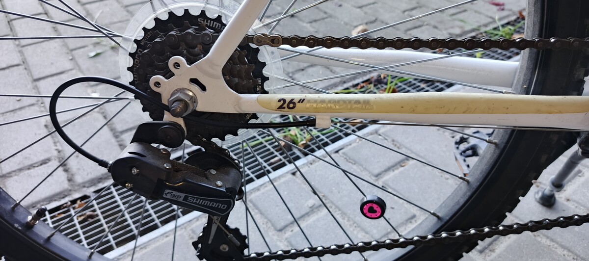 Elbląg Sprzedam rower górski dziecięcy.