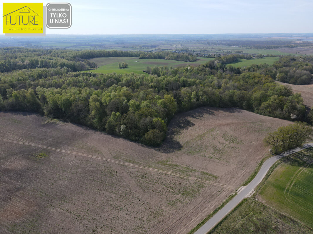 Elbląg FUTURE NIERUCHOMOŚCISprzedam działkę - Nowina. DZIAŁKA ROLNA - NOWINA GM. ELBLĄGCENA: 350 000