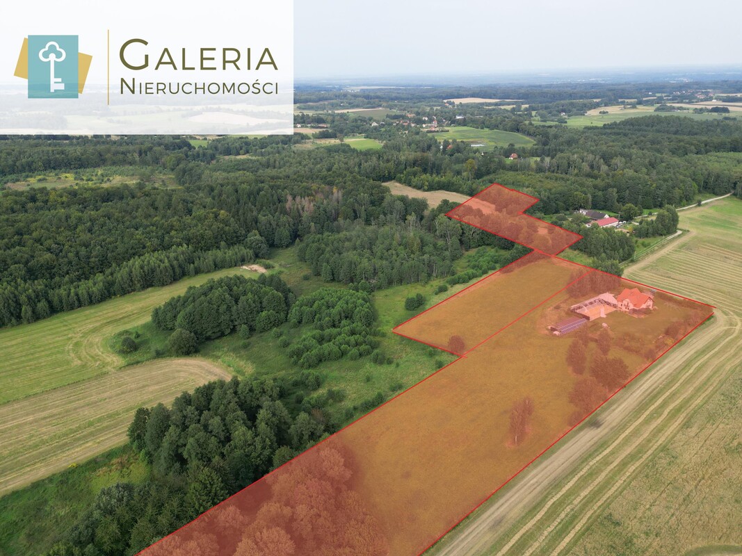 Elbląg GALERIA NIERUCHOMOŚCIZ pasji i miłości do nieruchomościNa sprzedaż: Atrakcyjny z ogromnym potencjałem dom z