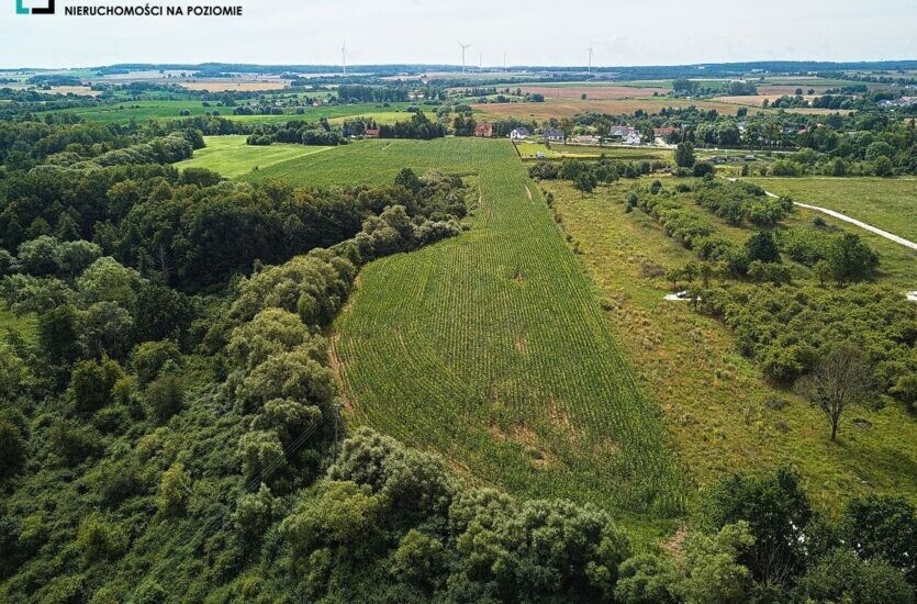 Elbląg LEVEL NIERUCHOMOŚCI Działka z MPZM w Pasłeku Tereny zabudowy mieszkaniowej jednorodzinnej2017